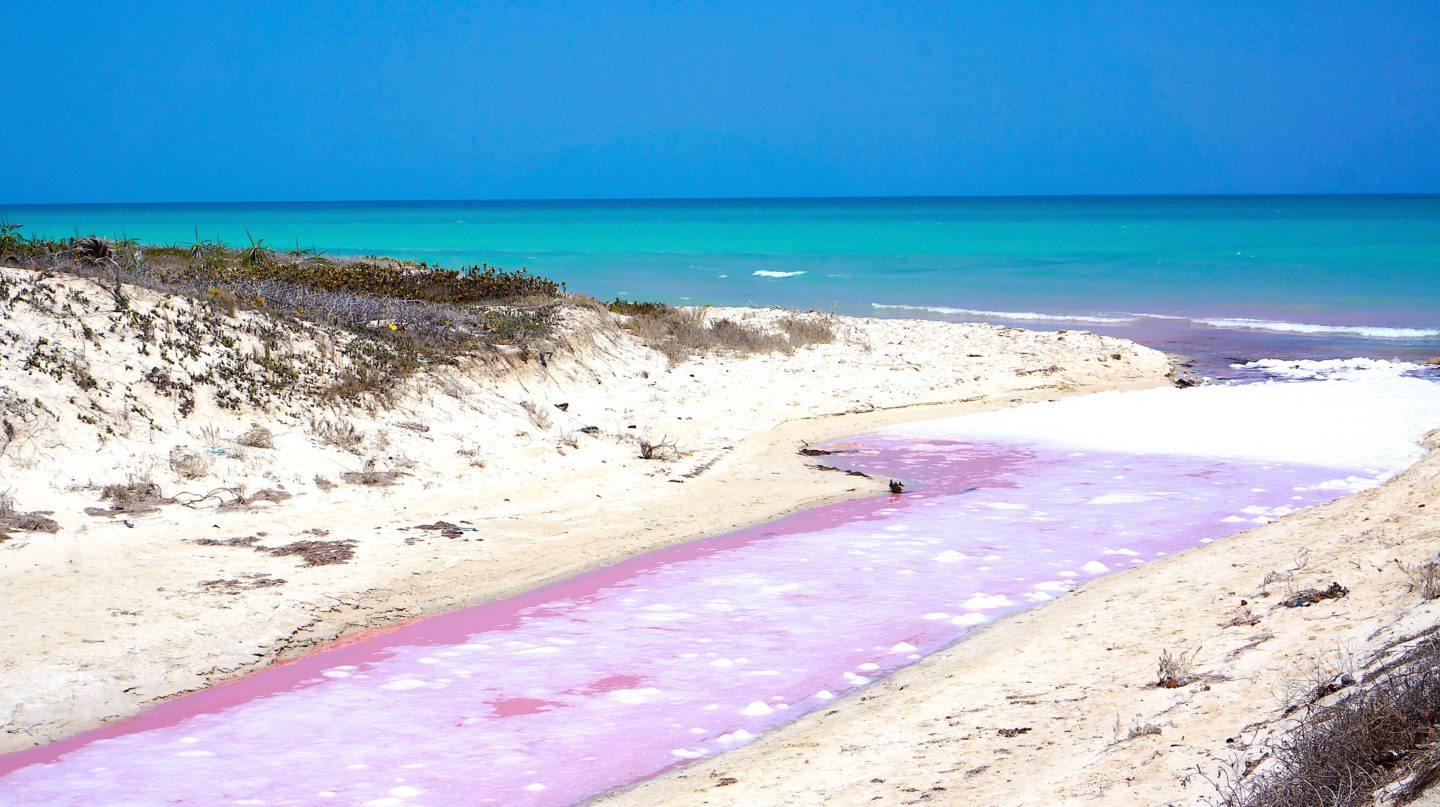 Pink Lagoons